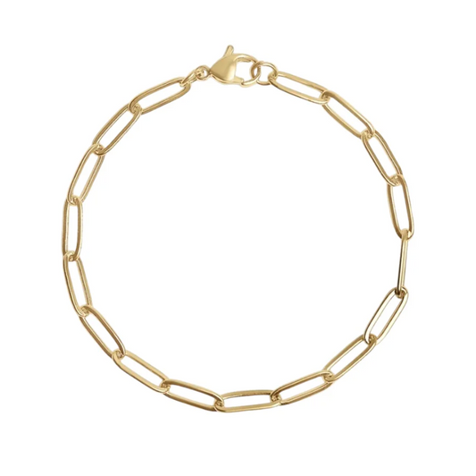 Charm Bracelet Paper Clip Chain Lobster Clasp Gold Stainless Steel