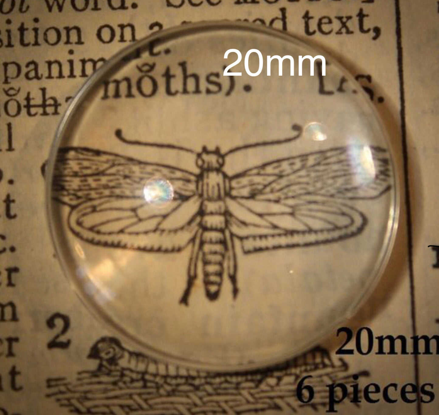 20mm Round Glass Clear Cabochons - Perfect Pendants Plus