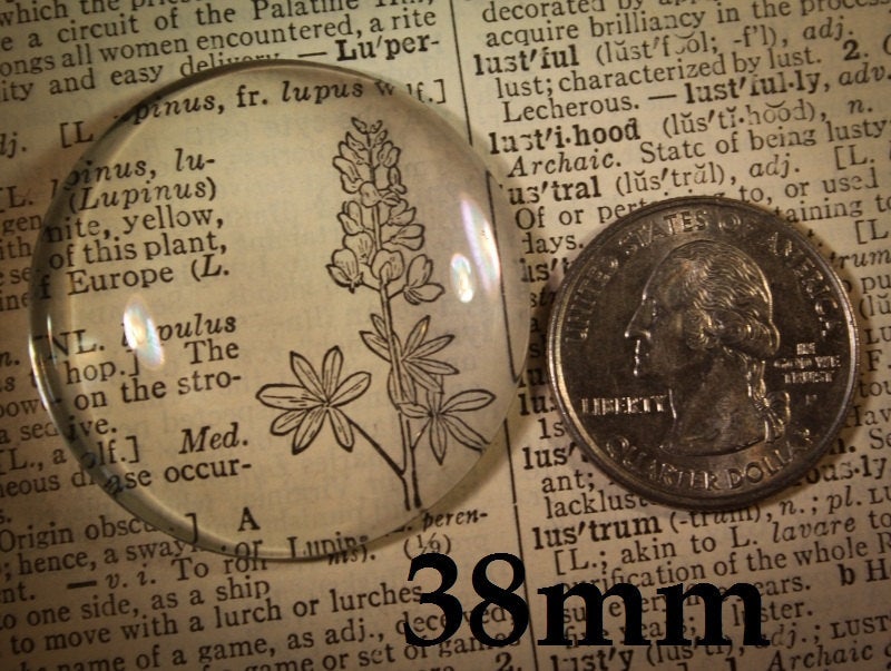 38mm Round Glass Extra Large Cabochon 1 1/2 Inches