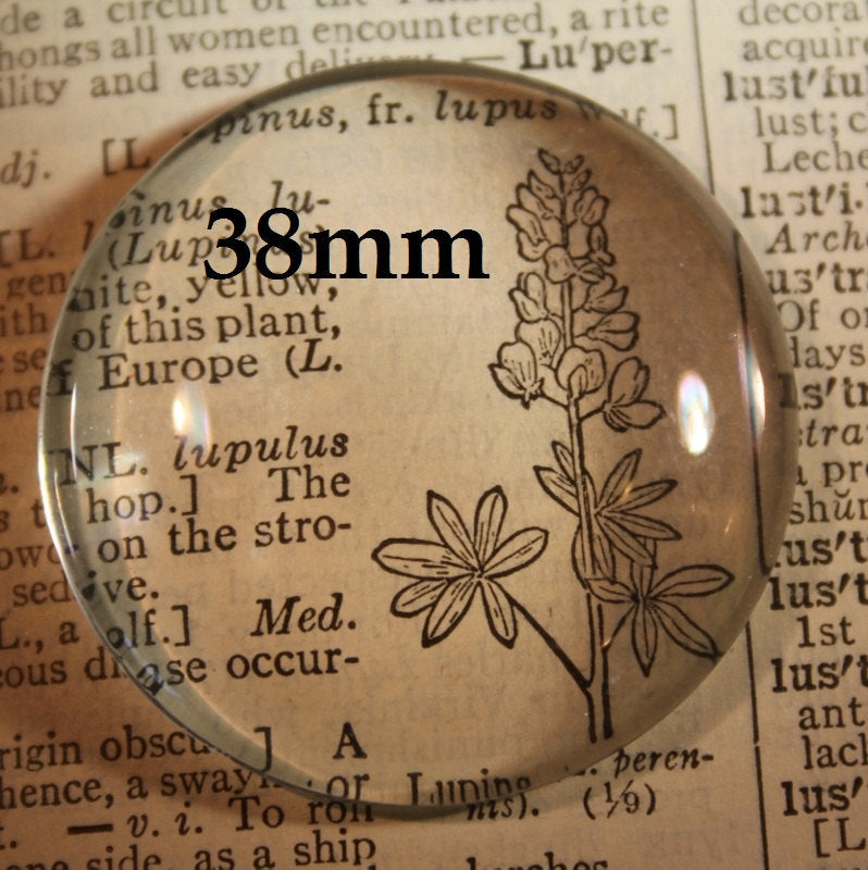 38mm Round Glass Extra Large Cabochon 1 1/2 Inches - Perfect Pendants Plus