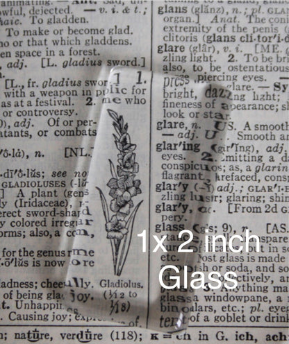 25x50mm Rectangle Glass Cabochons (1x2 inches) - Perfect Pendants Plus